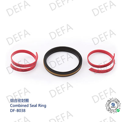 Combined Seal Ring-DF-B038