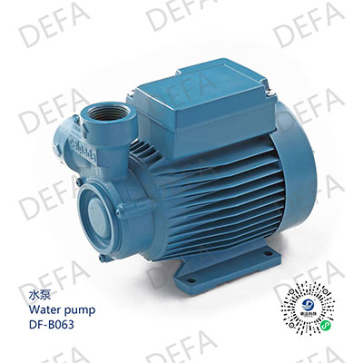 Water pump-DF-B063